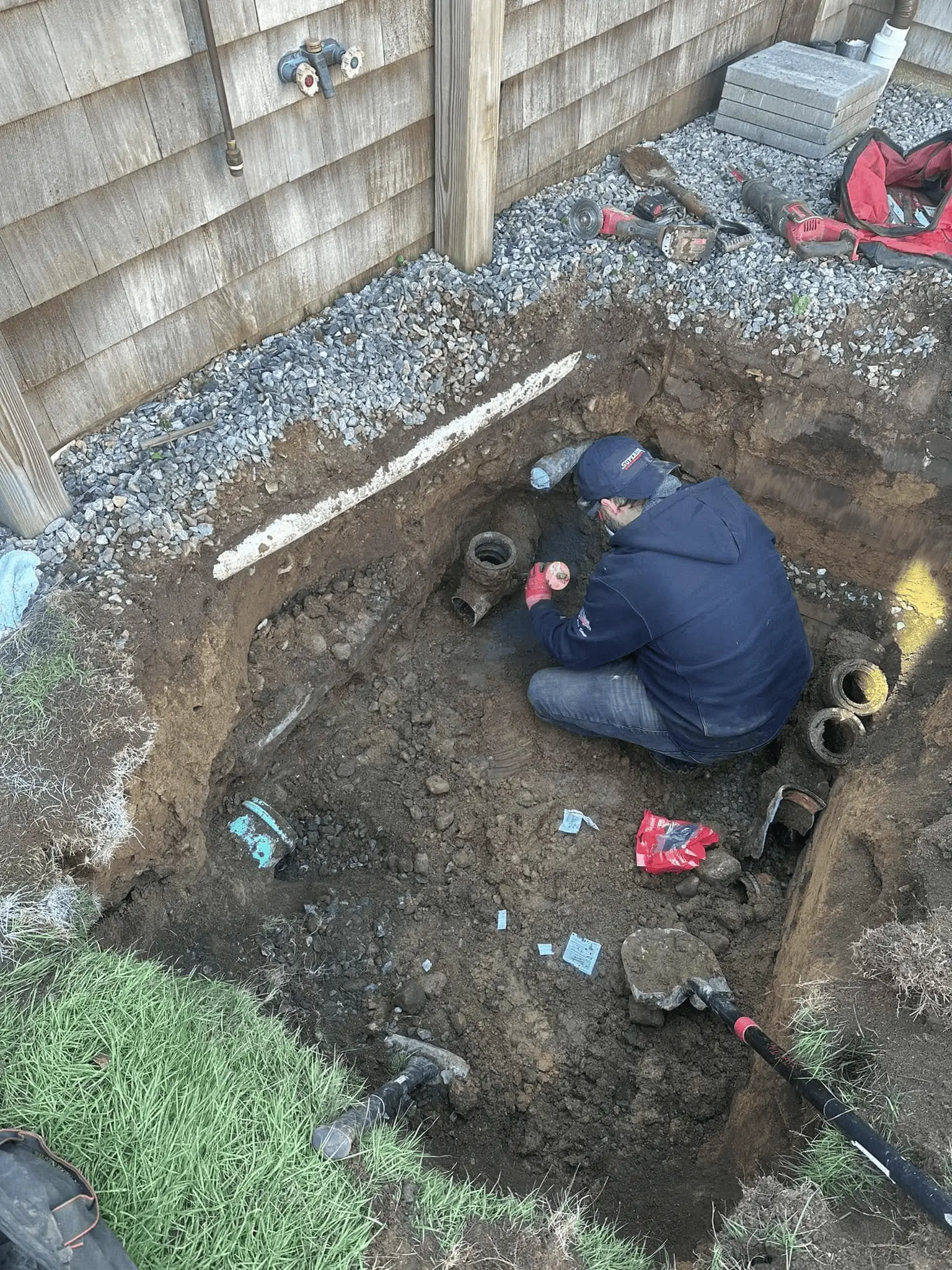 local experts
